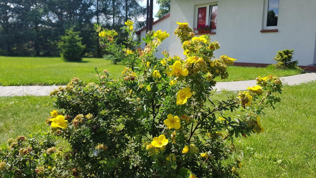 Ferienwohnung Gosciniec Mazurek Lötzen Exterior foto